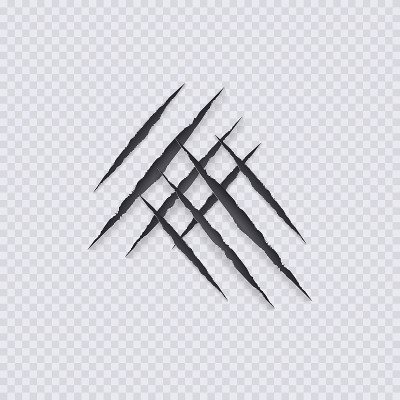 矢量爪抓插图，隔离在透明背景，野生动物爪抓，。