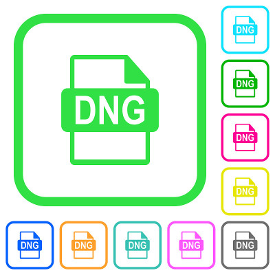 DNG文件格式生动的彩色平面图标