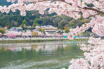 arashiyama,日本京都