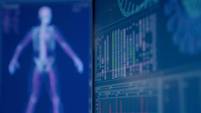 电脑屏幕上的人体骨骼模型。大脑和DNA研究。未来的实验室研究