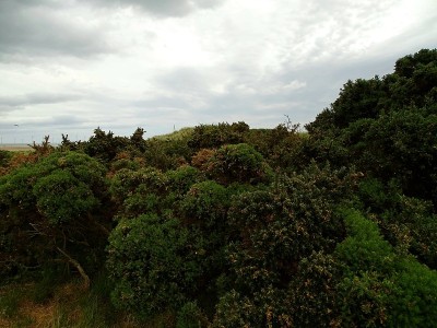 在沙滩上