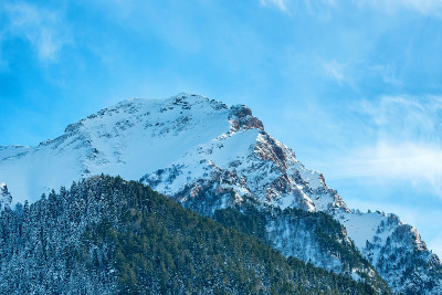 冬天下雪的山上有软木森林