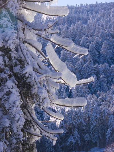 chalmazel forez山谷,france