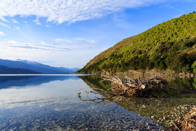 美丽的哈威湖风景。