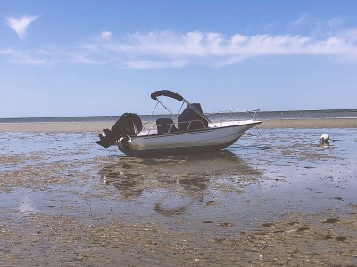 一个伟大的海角:鳕鱼角快照，MA