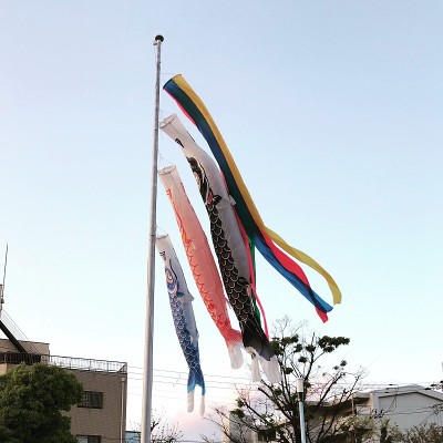 鲤鱼等浮电缆