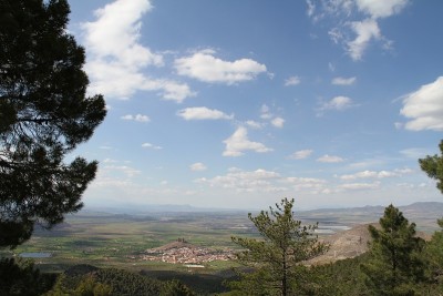 Calahorra的
