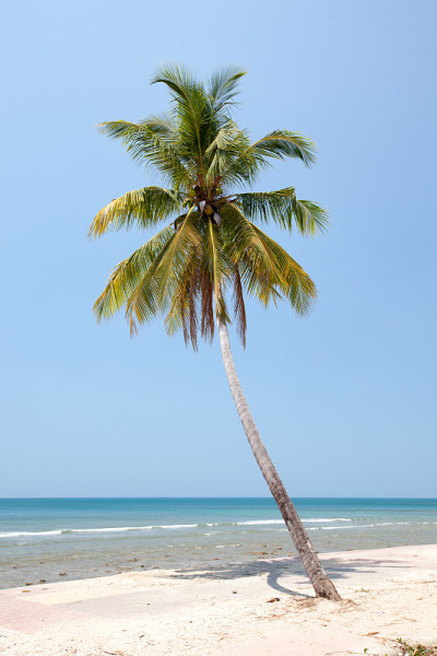 海