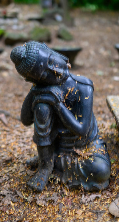Wat有佛教-帕帕帕帕佛得角温布尔登寺