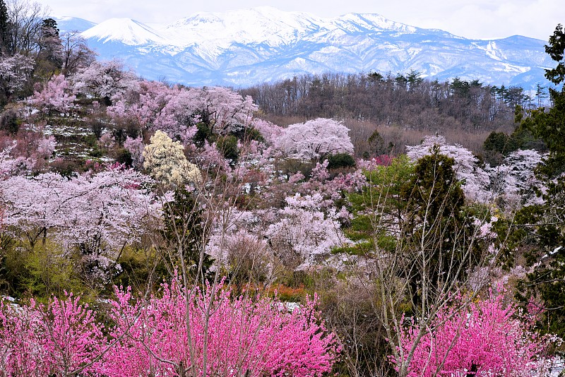 哈纳米山