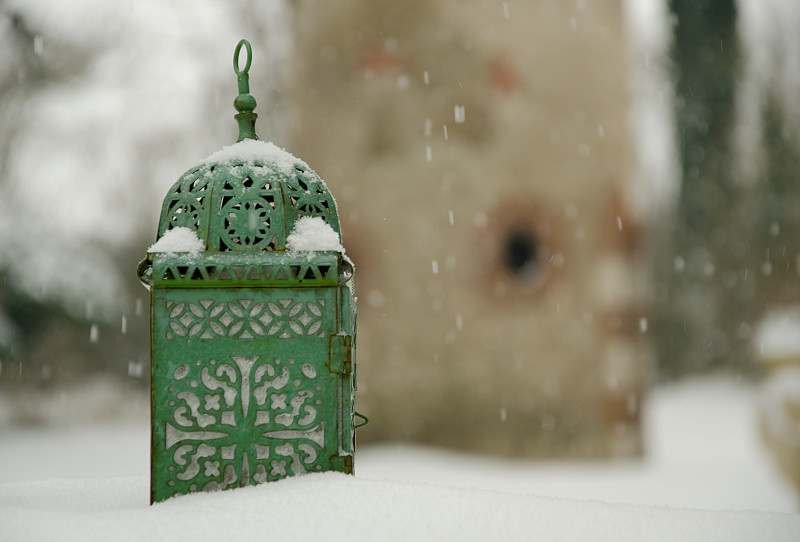 29、立冬，秋末，落叶下雪，冰封预览效果