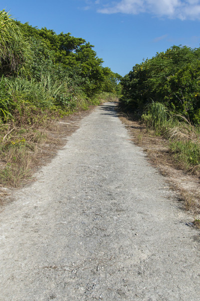 鸠山岛/鸠山岛路(冲绳八重山群岛)