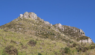 莫加尼峰(Mount Maunganui)。