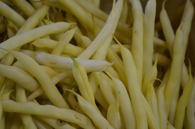 黄色蜡bean