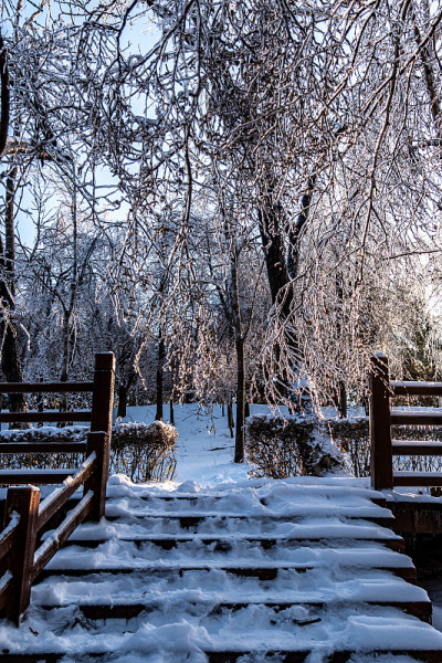 冬季景观御花园在长春，中国后大雪