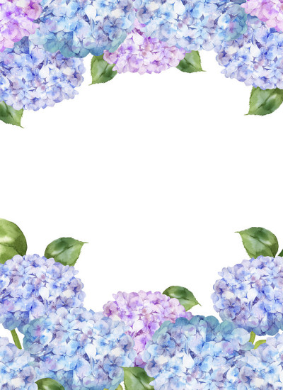 水彩绣球花插图