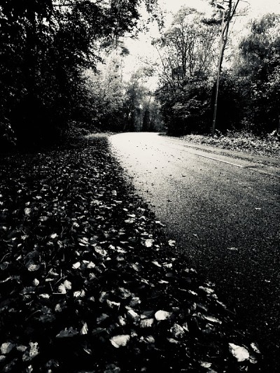 黑色和白色的道路