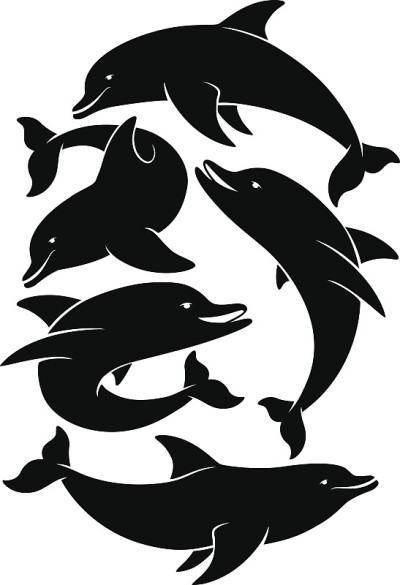 海豚