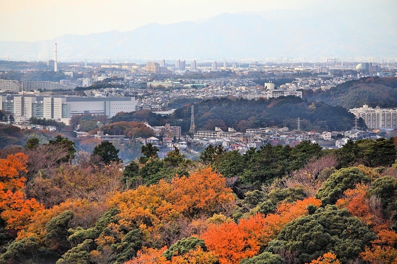 日本镰仓