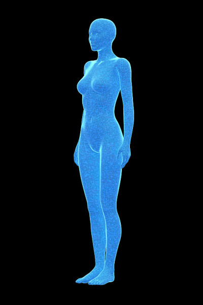 女性，人体女性，3D