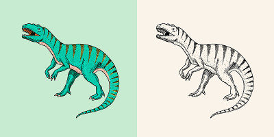 恐龙雷克斯暴龙、黑腹龙、斑龙、Tarbosaurus、Struthiomimus骨骼、化石。史前爬行