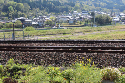 日本的乡村景观