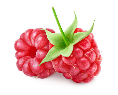 两个树莓孤立