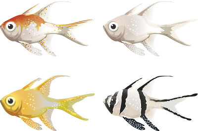 海洋生物
