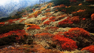 大屿山国家公园“晚秋吸烟”