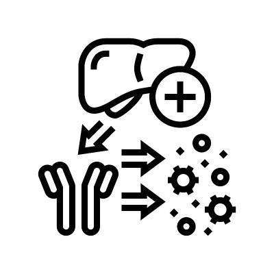 补充系统线图标矢量插图