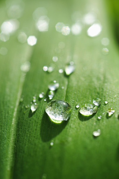 雨滴