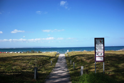 观看海滩宾斯波罗的海，方式海岸景观