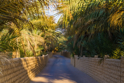 al - ain