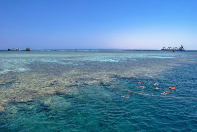 在埃及沙姆沙伊赫附近的蒂兰海峡的杰克逊礁上的潜水者