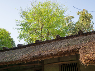 风景成都，四川省，中国。