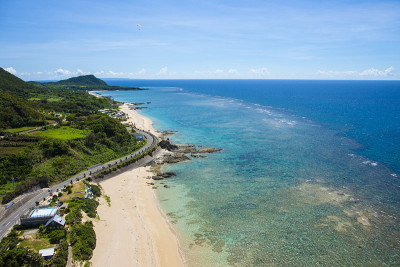 大岛Amami