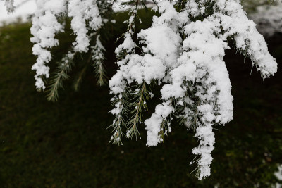 由于2021年1月的菲洛梅娜风暴，马德里的街道和公园被大雪覆盖