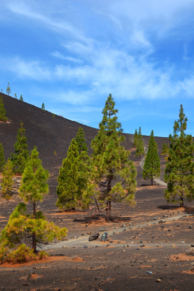 火山景观