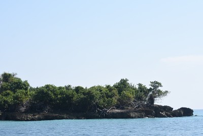 多米尼加共和国