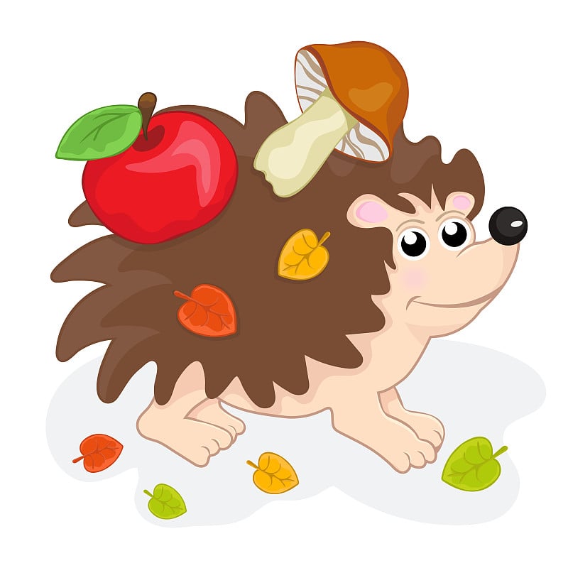 Cute funny hedgehog, cartoon hand drawing. Sweet u