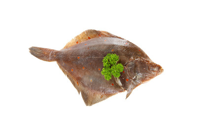 生鲽鱼鱼