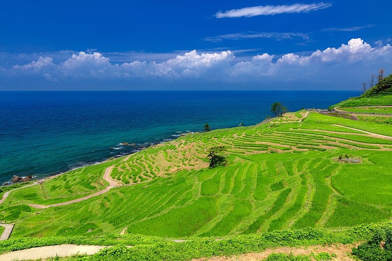 日本石川县北野登半岛的夏日风光