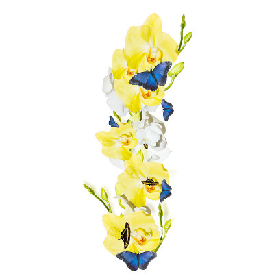 信兰花