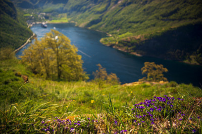从鹰路看geiranger峡湾