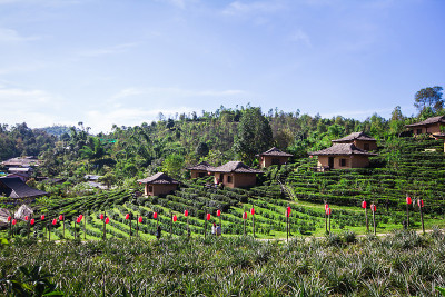 泰国Mae Hong Son的中国村庄Ban Rak Thai，美丽的自然