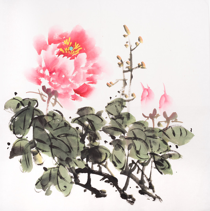 牡丹，中国传统水墨画。