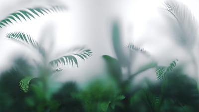 热带叶和植物背景。绿色明信片墙纸印刷或网。模糊的玻璃。三维演示