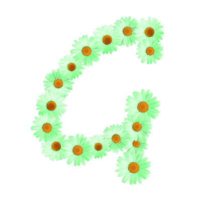 绿色雏菊字母G