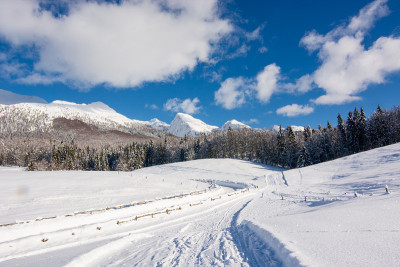 雪后的冬季景观