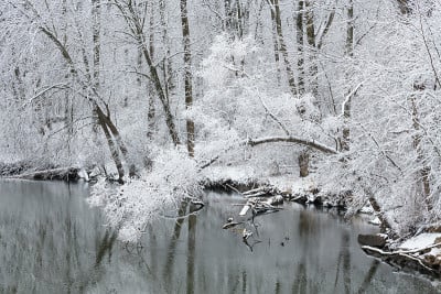 卡拉马祖河沿岸降雪